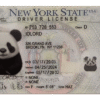 New York scannable card (2025 Version)