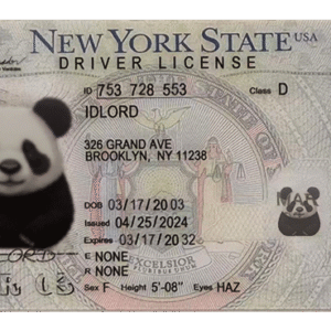 New York scannable card (2025 Version)