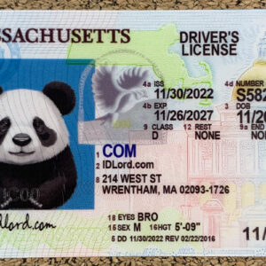 Massachusetts scannable card