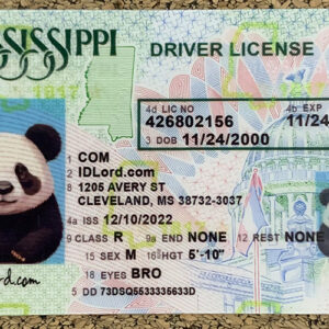 Mississippi scannable card