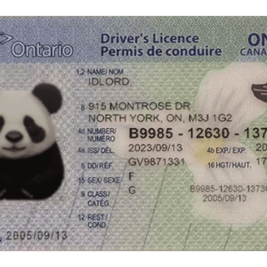 Ontario, Canada scannable card (upgrade version)