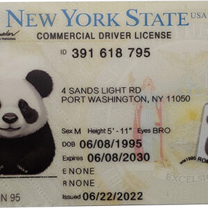 New York CDL